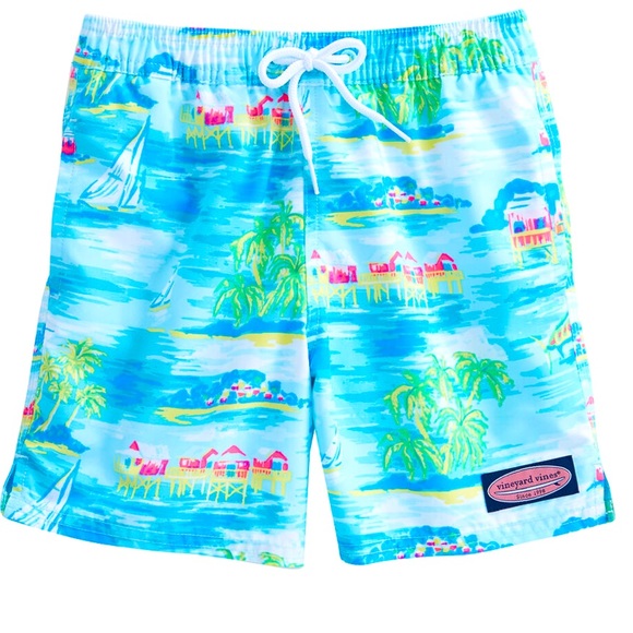 Vineyard Vines Other - Vineyard Vines Swim Trunks men's small